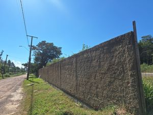 Image 1 - 309317