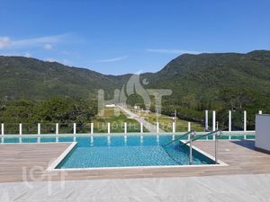 Image 18 - 309929