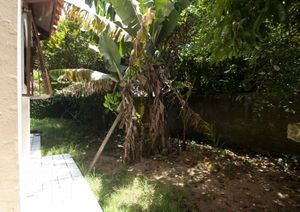 Image 19 - 310062