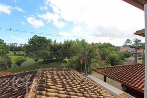 Image 41 - 310295