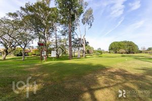 Image 74 - 310295