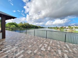 Image 55 - 310295