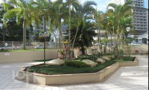 Image 15 - 310425
