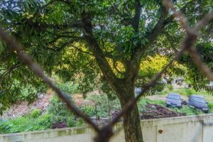 Image 6 - 310660