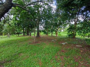 Image 6 - 310754