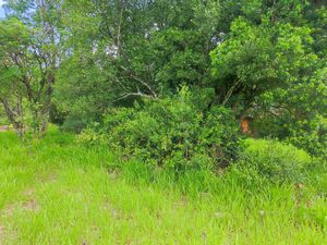 Image 9 - 310754