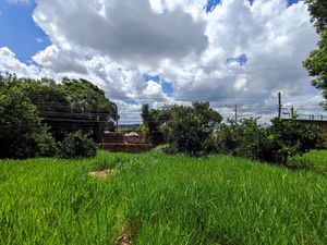 Image 5 - 310754