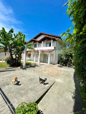 Image 38 - 310806