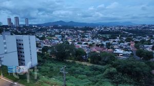 Image 33 - 310876