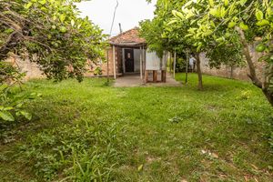 Image 8 - 311123