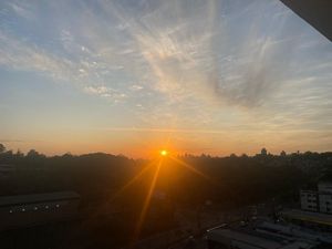 Image 31 - 311144