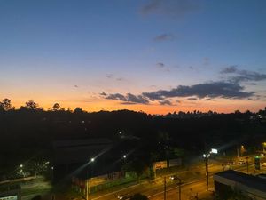 Image 28 - 311144