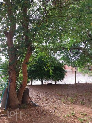 Image 3 - 311183