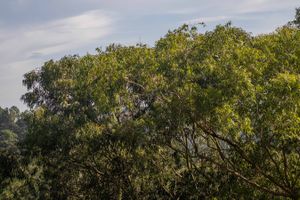 Image 20 - 311650