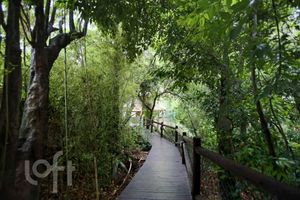 Image 34 - 311776
