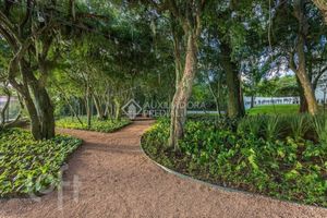 Image 62 - 311832
