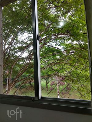 Image 14 - 312911