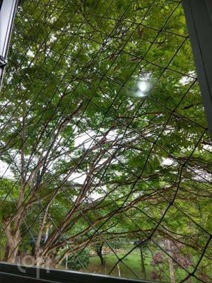 Image 0 - 312911