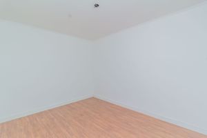 Image 19 - 312946