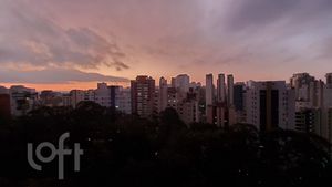 Image 34 - 313106