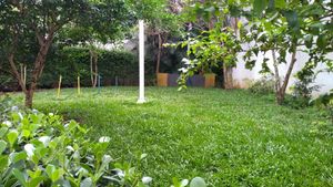 Image 11 - 314884