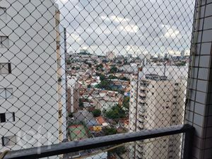 Image 12 - 315238