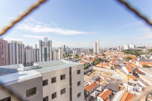 Image 8 - 315253