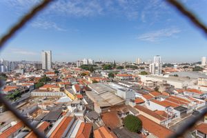 Image 37 - 315253