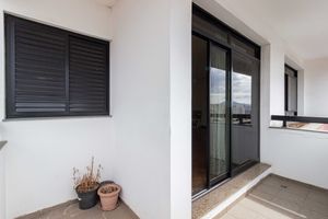 Image 13 - 315266