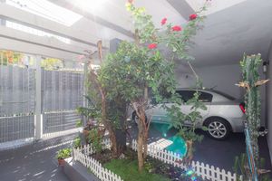 Image 81 - 315577