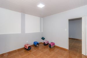 Image 44 - 315577