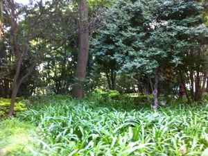 Image 9 - 317138
