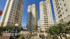 Image 9 - 317157