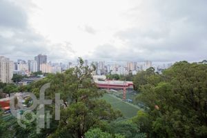 Image 34 - 317766