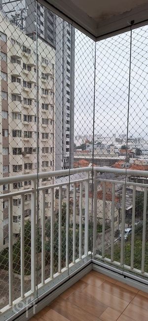 Image 15 - 317984
