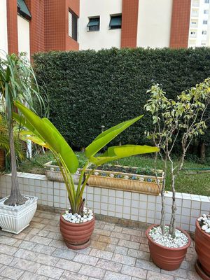 Image 19 - 318273