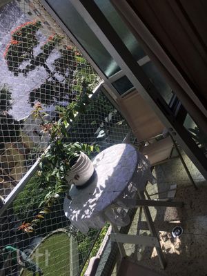 Image 8 - 318427
