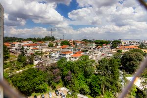 Image 16 - 319209