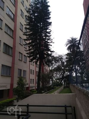 Image 5 - 319381
