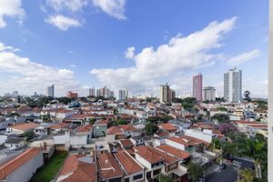 Image 13 - 321118