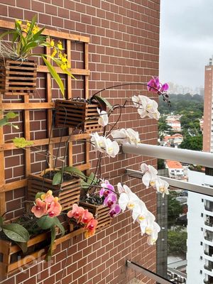 Image 8 - 322538