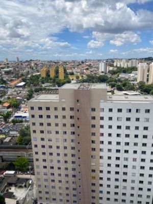Image 8 - 323495