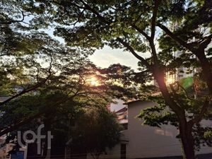 Image 15 - 324967