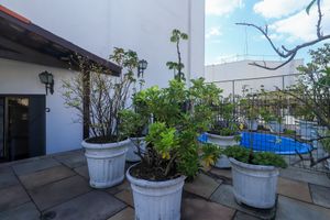 Image 41 - 325185