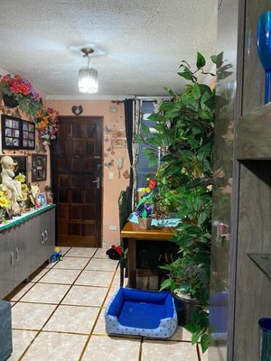 Image 14 - 325331