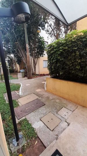 Image 17 - 327253