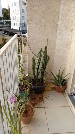 Image 9 - 330337