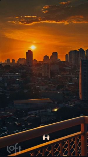 Image 7 - 331237