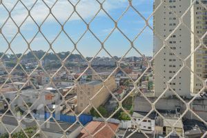 Image 5 - 331429