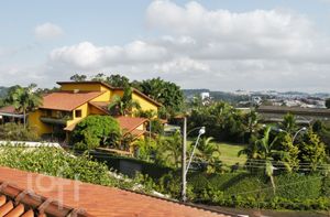 Image 31 - 333665